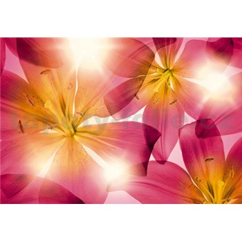 Fototapety lilie rozměr 368 cm x 254 cm - POSLEDNÍ KUS