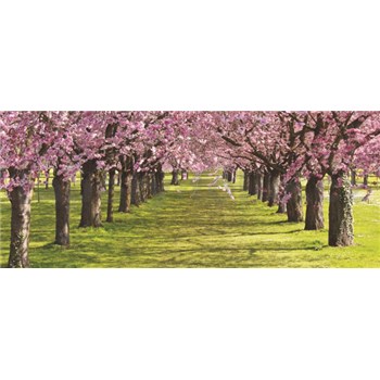 Vliesové fototapety spring rozměr 250 cm x 104 cm