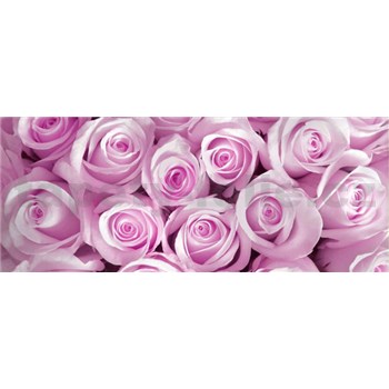 Vliesové fototapety růže růžové rozměr 250 cm x 104 cm