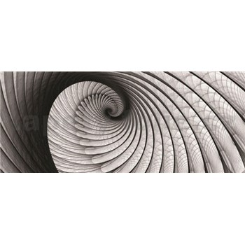 Vliesové fototapety lastura šedá rozměr 250 cm x 104 cm