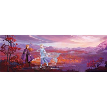 Fototapety Disney Frozen II panorama rozměr 368 cm x 127 cm