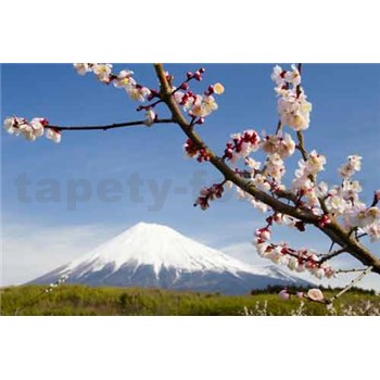 Fototapety japonská sopka s květy rozměr 368 cm x 254 cm