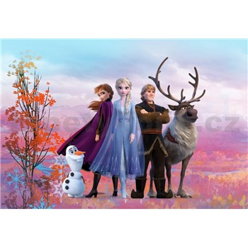 Fototapety Disney Frozen II přátelé rozměr 368 cm x 254 cm