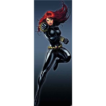 Fototapeta Avengers Černá vdova rozměr 73 cm x 202 cm - POSLEDNÍ KUS
