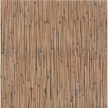 Samolepící tapety - bambus 67,5 cm x 15 m