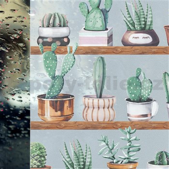 Statická fólie transparentní kaktusy - 67,5 cm x 15 m