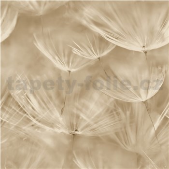 Vliesové tapety na zeď IMPOL pampelišky béžové