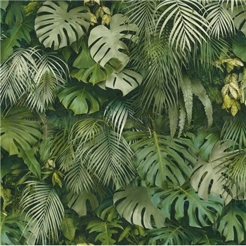 Vliesové tapety na zeď Greenery palmové listy a listy Monstera zelené