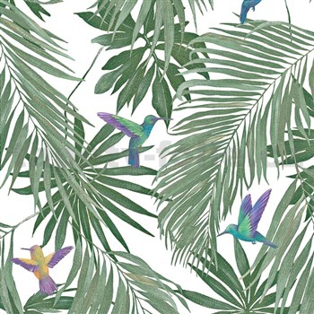 Vliesové tapety na zeď IMPOL Spirit of Jungle barevní kolibříci mezi větvemi