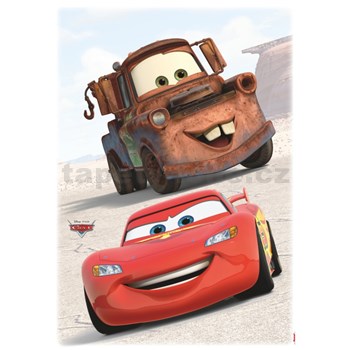 Samolepky na zeď Disney Cars přátelé rozměr 50 cm x 70 cm