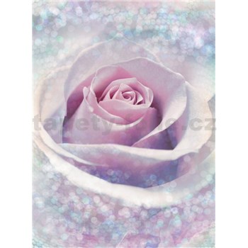 Vliesové fototapety růže rozměr 184 cm x 248 cm - POSLEDNÍ KUSY