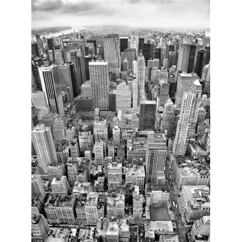 Vliesové fototapety New York rozměr 184 cm x 248 cm