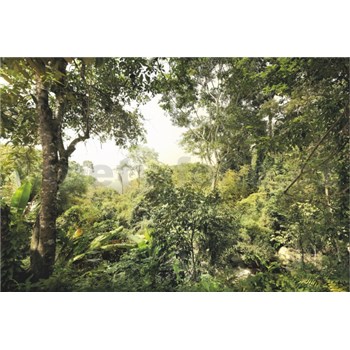 Vliesové fototapety džungle rozměr 368 cm x 248 cm - POSLEDNÍ KUSY