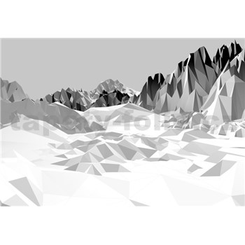 Fototapety 3D Icefields rozměr 368 cm x 254 cm - POSLEDNÍ KUS