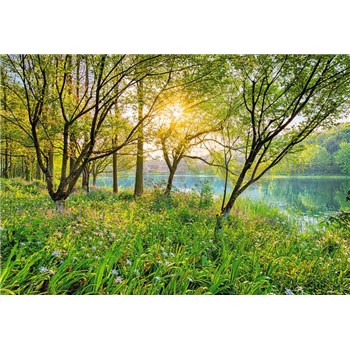 Fototapety Spring Lake rozměr 368 cm x 254 cm
