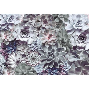 Fototapety Shades rozměr 368 cm x 254 cm