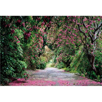 Fototapety Wicklow Park rozměr 368 cm x 254 cm - POSLEDNÍ KUSY