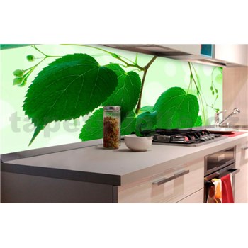 Samolepící tapety za kuchyňskou linku zelené listy rozměr 180 cm x 60 cm