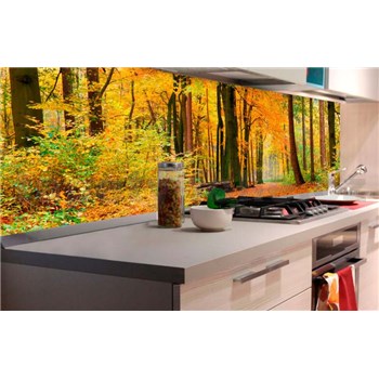 Samolepící tapety za kuchyňskou linku les na podzim rozměr 180 cm x 60 cm - POSLEDNÍ KUSY