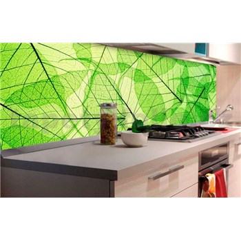 Samolepící tapety za kuchyňskou linku listové žíly rozměr 180 cm x 60 cm