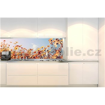 Samolepící tapety za kuchyňskou linku jarní louka rozměr 350 cm x 60 cm - POSLEDNÍ KUSY