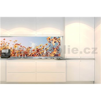 Samolepící tapety za kuchyňskou linku jarní louka rozměr 260 cm x 60 cm