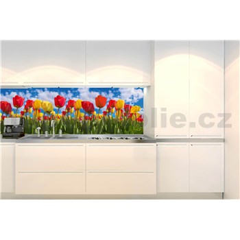 Samolepící tapety za kuchyňskou linku barevné tulipány rozměr 180 cm x 60 cm - POSLEDNÍ KUSY