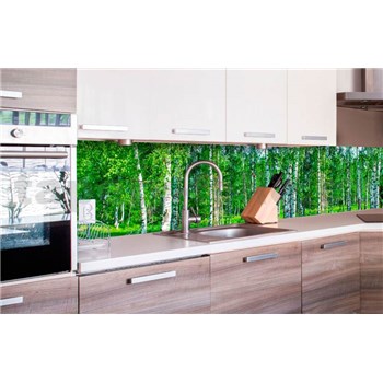 Samolepící tapety za kuchyňskou linku březový les rozměr 260 cm x 60 cm - POSLEDNÍ KUSY