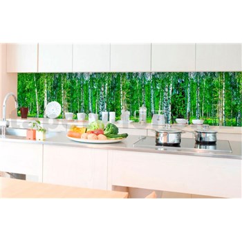 Samolepící tapety za kuchyňskou linku březový les rozměr 350 cm x 60 cm - POSLEDNÍ KUSY
