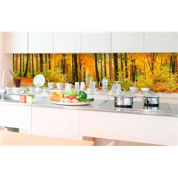 Samolepící tapety za kuchyňskou linku les na podzim rozměr 350 cm x 60 cm