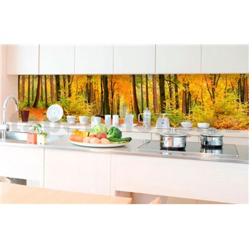 Samolepící tapety za kuchyňskou linku les na podzim rozměr 350 cm x 60 cm - POSLEDNÍ KUSY