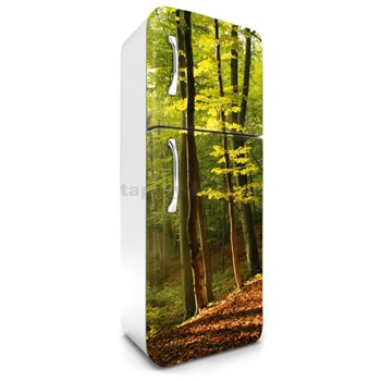 Samolepici Tapety Na Lednici Les Na Podzim Rozmer 180 Cm X 65 Cm
