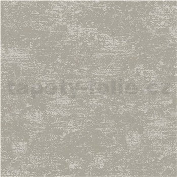 Vliesové tapety na zeď IMPOL omítkovina hnědo krémová s aplikací