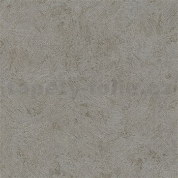 Vliesové tapety na zeď IMPOL  Basic moderní strukturovaná omítkovina hnědá