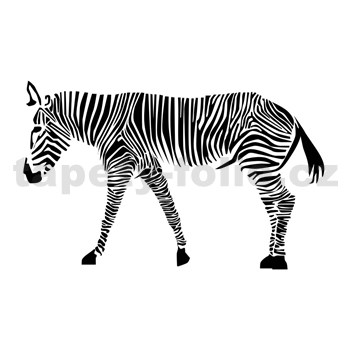 Samolepky na zeď zebra