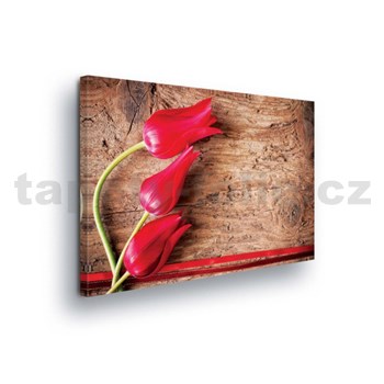 Obraz na plátně tulipány na dřevě 100 x 75 cm - POSLEDNÍ KUS