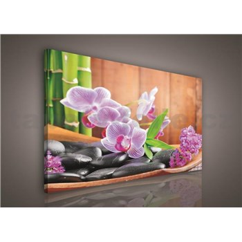Obraz na plátně orchidej s kameny 75 x 100 cm