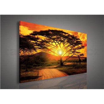 Obraz na plátně Austrálie při západu slunce 75 x 100 cm