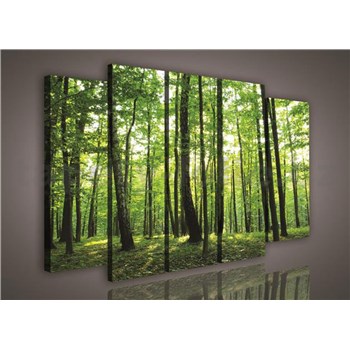 Obraz na plátně les 150 x 100 cm