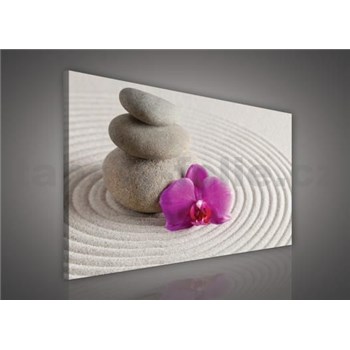 Obraz na plátně wellness orchidej 75 x 100 cm