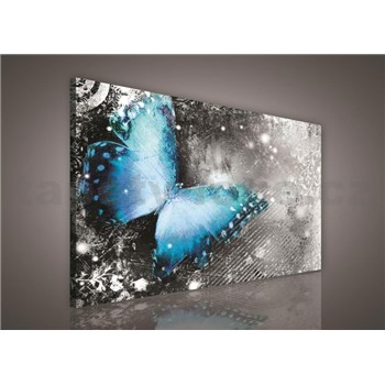 Obraz na plátně motýl 75 x 100 cm