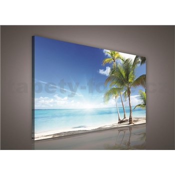 Obraz na plátně palmy na pláži 100 x 75 cm