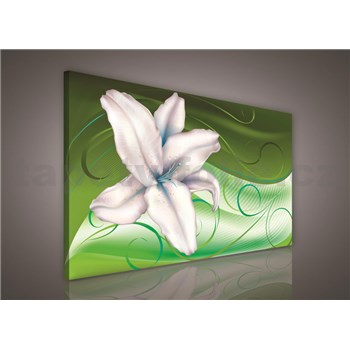 Obraz na plátně lilie na zeleném podkladu 100 x 75 cm