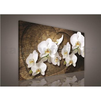 Obraz na plátně bílá orchidej na dřevěném srdci 75 x 100 cm