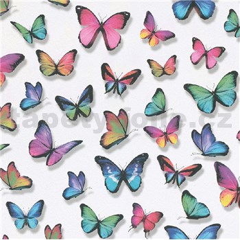Papírové tapety na zeď IMPOL Papillon motýli barevní