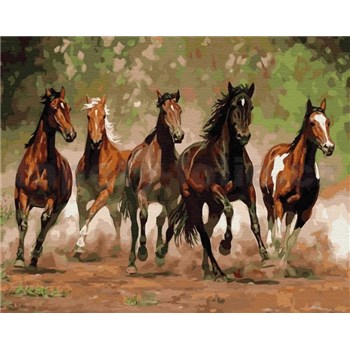 Malování podle čísel stádo koní rozměr 40 x 50 cm