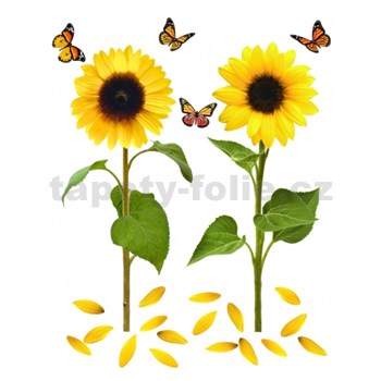 Samolepky na zeď slunečnice s motýly 82 cm x 105 cm