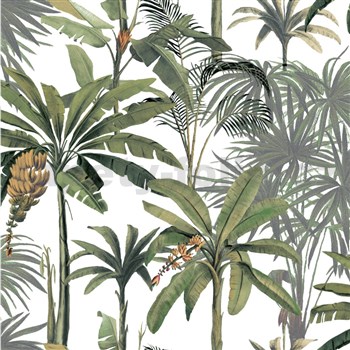 Vliesové tapety na zeď tropické rostliny