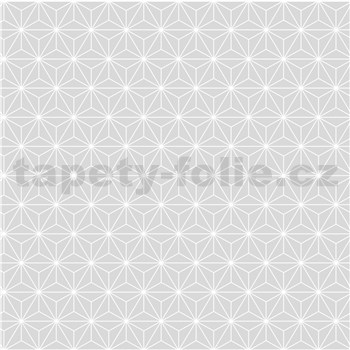 Vliesové tapety na zeď drobný geometrický vzor bílý na šedém podkladu