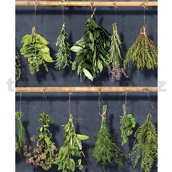 Vliesové tapety na zeď bylinky